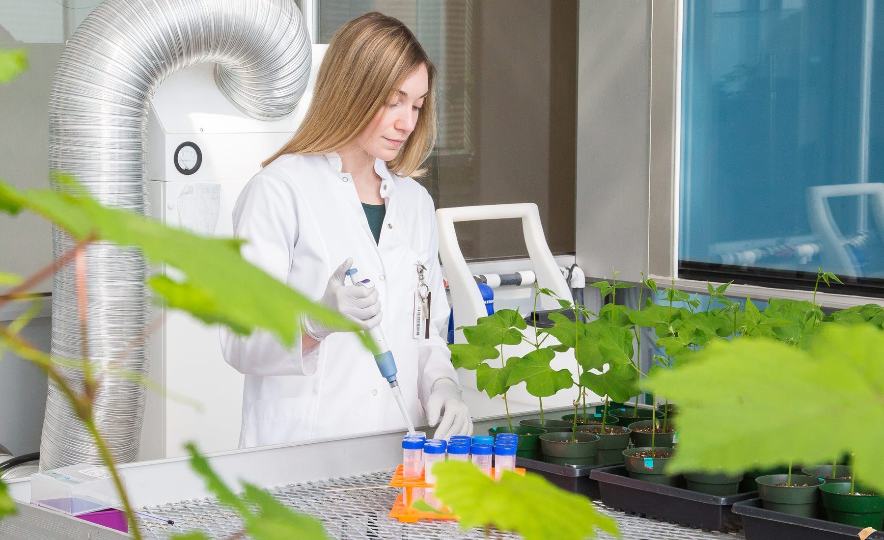 Biological Sciences vs MSc Biotechnology